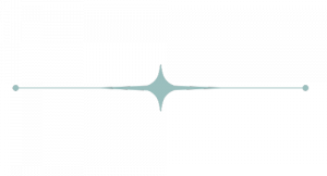 Ash Gray Star Divider